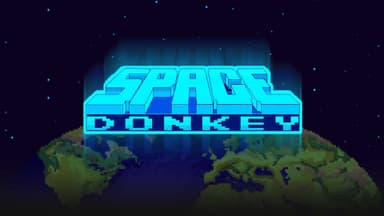 Space Donkey